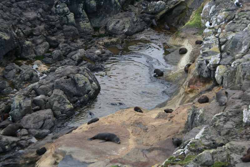 Nieuw-Zeeland 2011 - 1974
